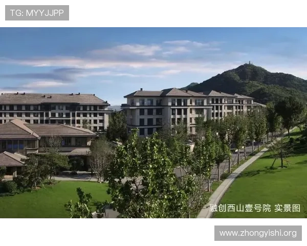 壹号集团:引领行业创新发展的领军企业,打造多元化商业生态系统 壹号集团:引领行业创新发展的领军企业,打造多元化商业生态系统